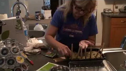 Documenting Jill's Tower Garden 1