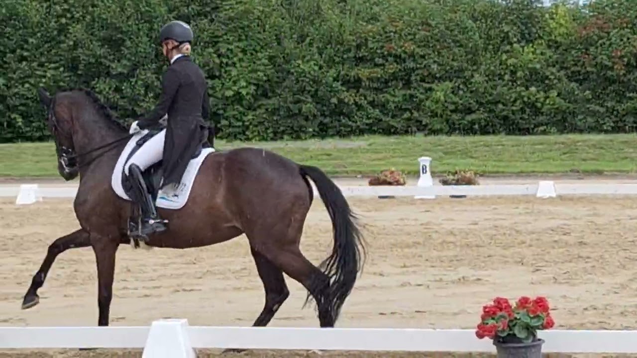 In my Heart,  Dressur Kl.  S. Juli 2025