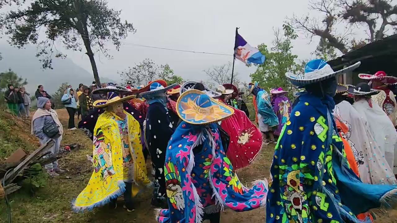 Carnaval Camarones 2026