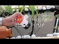 Seaflo 1100gph bilge pump
