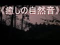 《癒しの自然音》虫の鳴き声「TYPE 3」静かな夏の夜【安らぎ・睡眠・勉強】