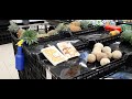 ШРИ-ЛАНКА. ХИККАДУВА. АКТУАЛЬНЫЕ ЦЕНЫ НА ПРОДУКТЫ В МАГАЗИНАХ FOOD CITY.