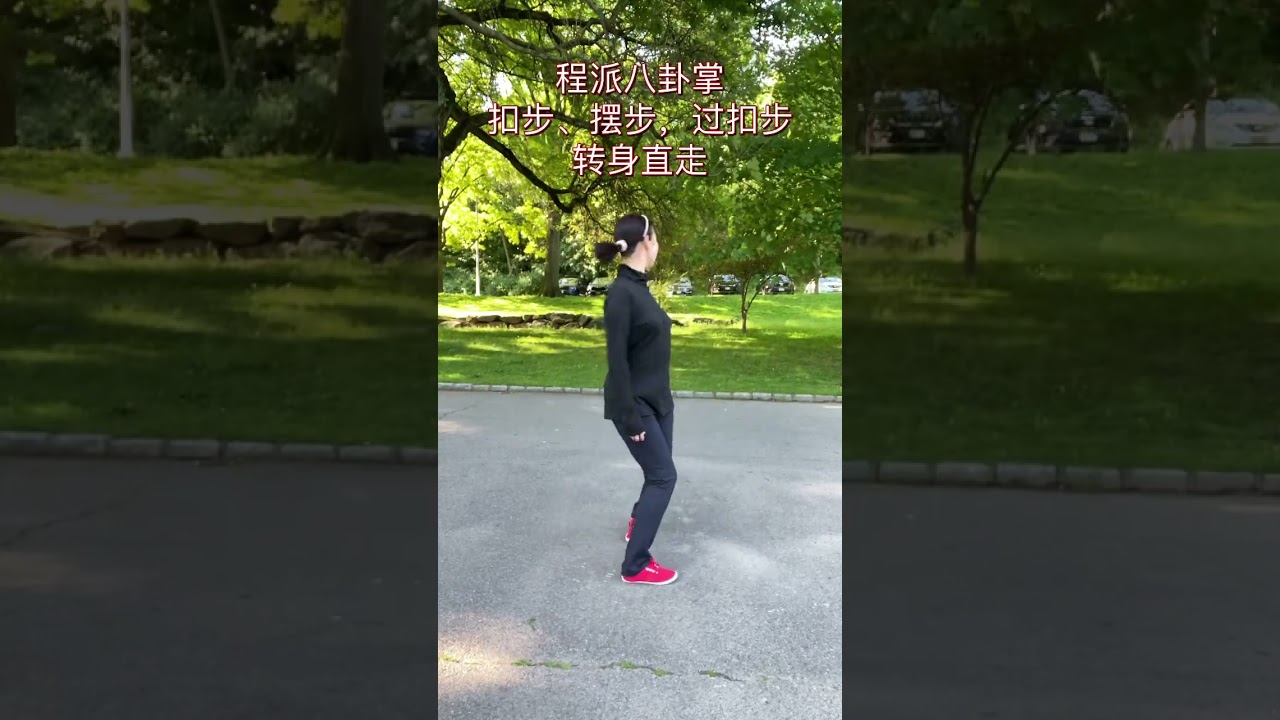 Baguazhang Cheng style basic steps 