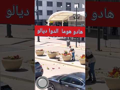 قلبتي عليها