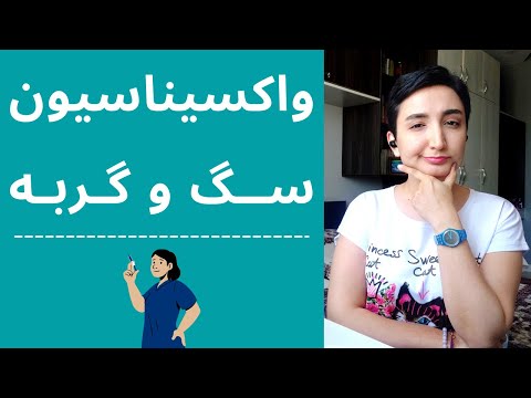 تصویری: گربه به چه واکسن هایی احتیاج دارد؟