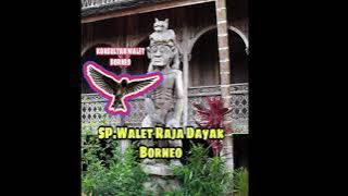 SP.Walet Raja Dayak Borneo