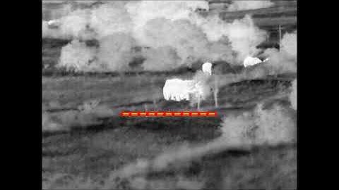 Thermal Video Camera Artificial Intelligence (AI) Elephant Detection System