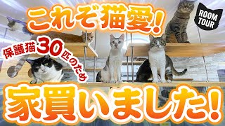 【保護猫の家】築40年の中古戸建を猫ハウスに劇的リフォーム施工からルームツアーまで大公開