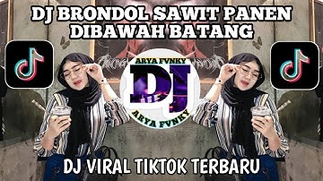 DJ BRONDOL SAWIT PANEN DI BAWAH BATANG OT CAKRAWALA OKU TIMUR REMIX PALEMBANG VIRAL TIKTOK 2024