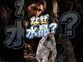 ネアンデルタール人が「水晶」にこだわった理由とは？ #ネアンデルタール人 #考古学 #古代史 #石器 #水晶