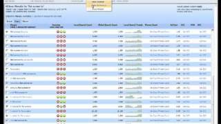 Overview of Micro Niche Finder v5 screenshot 2