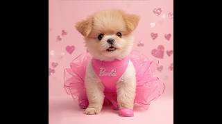 Cutest Barbie Girl Puppy