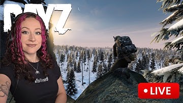 Winter Chernarus with @doctordreist┃DayZ LIVE 1440p