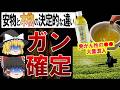 【総集編】安物はガンに?!絶対買ってはいけないスーパーのお茶と正しい選び方