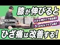 【ひざ痛はこれやって！】膝伸ばしケアを世界一分かりやすく解説しました。【理学療法士】