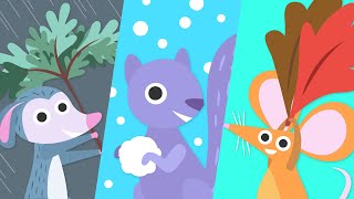 Changing Seasons! Falling Leaves, Snowflakes, and More! | Cartoons for Kids