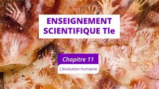 L’évolution humaine (Enseignement scientifique Tle)