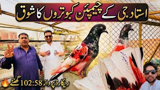 Ustad Jee K Champion Kabutaron Ka Shoq 💪 | Sheikhoo Pigeons Club