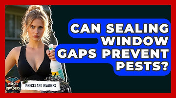 Can Sealing Window Gaps Prevent Pests? - Insects and Invaders