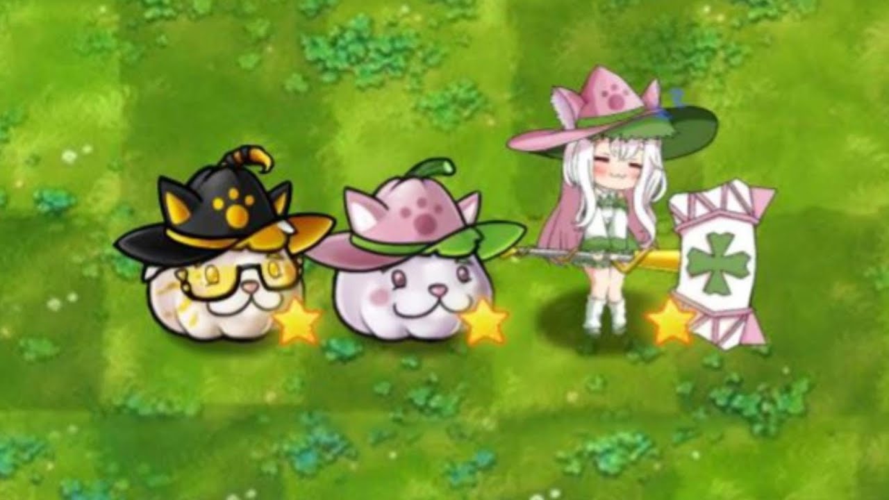 Fusion and Interpretation Plant: Starlight Cat Melon