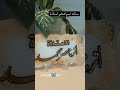 برافوووو
