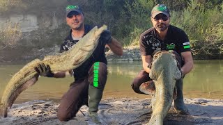 2 Siluri pescati con boa in funivia #blackcat #madcat #pesca #bigfish #catfish #fishing