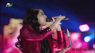 MIX CUMBIA CON SABOR   HISTERIA   SANGRE CUMBIERA Y OTROS    DJ JOSE MIX 