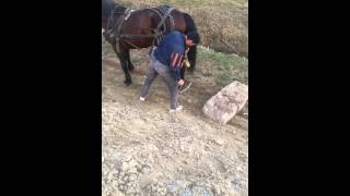 Armasaru Lu Catu De La Mosna De Vanzare