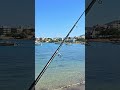 Κυριακάτικος καφές και ψάρεμα 🐠 #psarema #fishing #fy #ψαρεμα #ψάρεμα #fyp #greek #new #fish #like