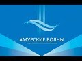 Фестиваль военных оркестров "Амурские волны"