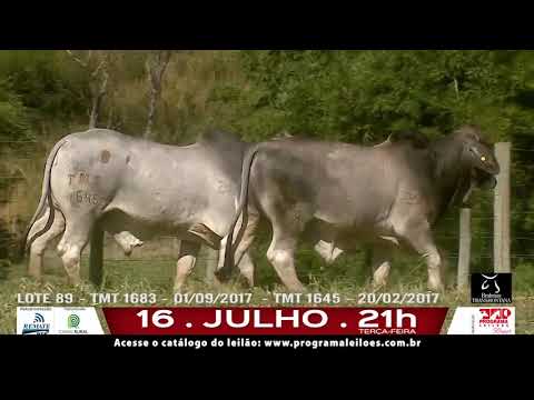 LOTE 089