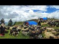 This Is Himalayan Sheeps Shepherd&#39;s Living life || Very Beautiful Nepali Mountain Village life