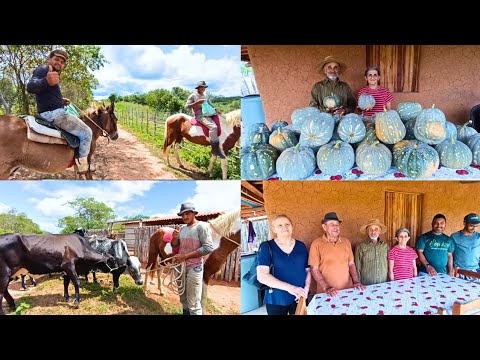 Harvesting Pumpkin on the Farm, So Much Abundance + Special Guest on the Farm, Lots of News, Take...