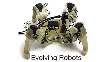 Evolving Gaits for Legged Robots: Neural Networks with Geometric Patterns Perform Better