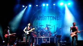 The Parlotones - Brave and Wild