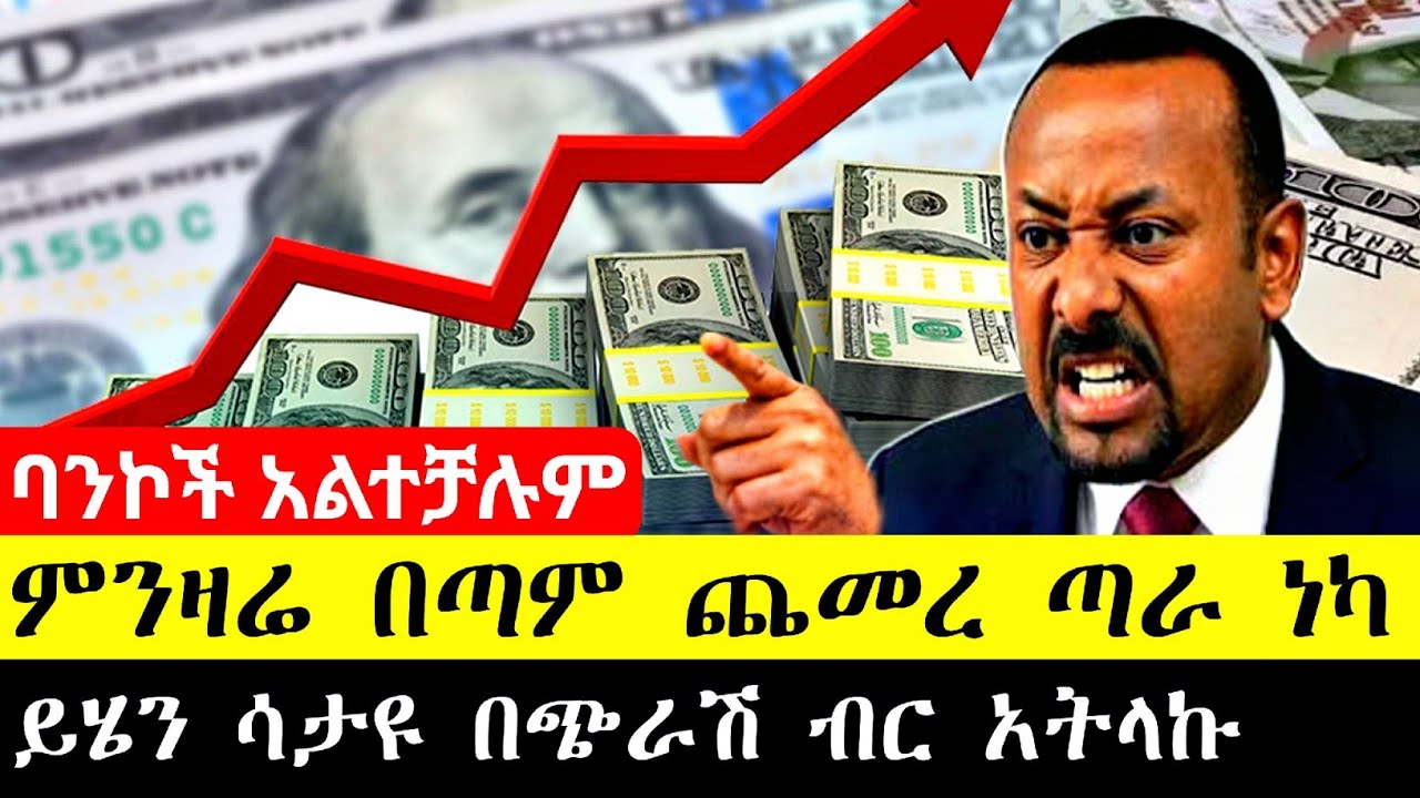 ዶላር በጣም ጨመረ | ምንዛሬ አልተቻለም ሀዋላ ምንዛሬ ጣራ ነካ የሚያስቆመው ጠፋ #dollar #money #business #news 