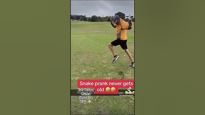 Una Serpiente 🫣😭😭#snake#serpiente#humor#amlo#mexico#golf#broma#prank#viral#funny
