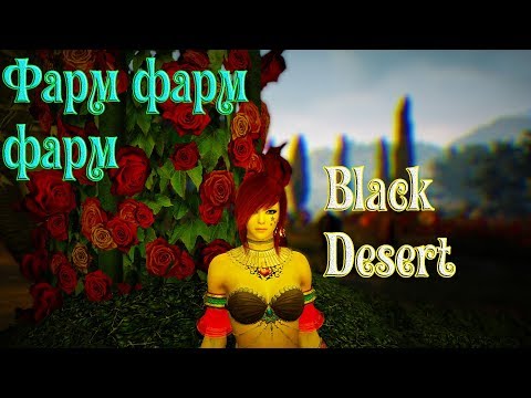Video: Blimey, Producătorul Eve Online CCP A Fost Cumpărat De Producătorul Black Desert Online Pearl Abyss
