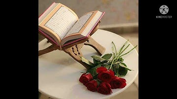 سورة القلم بصوت الشيخ سالم الرويلي ارح سمعك 💙✨