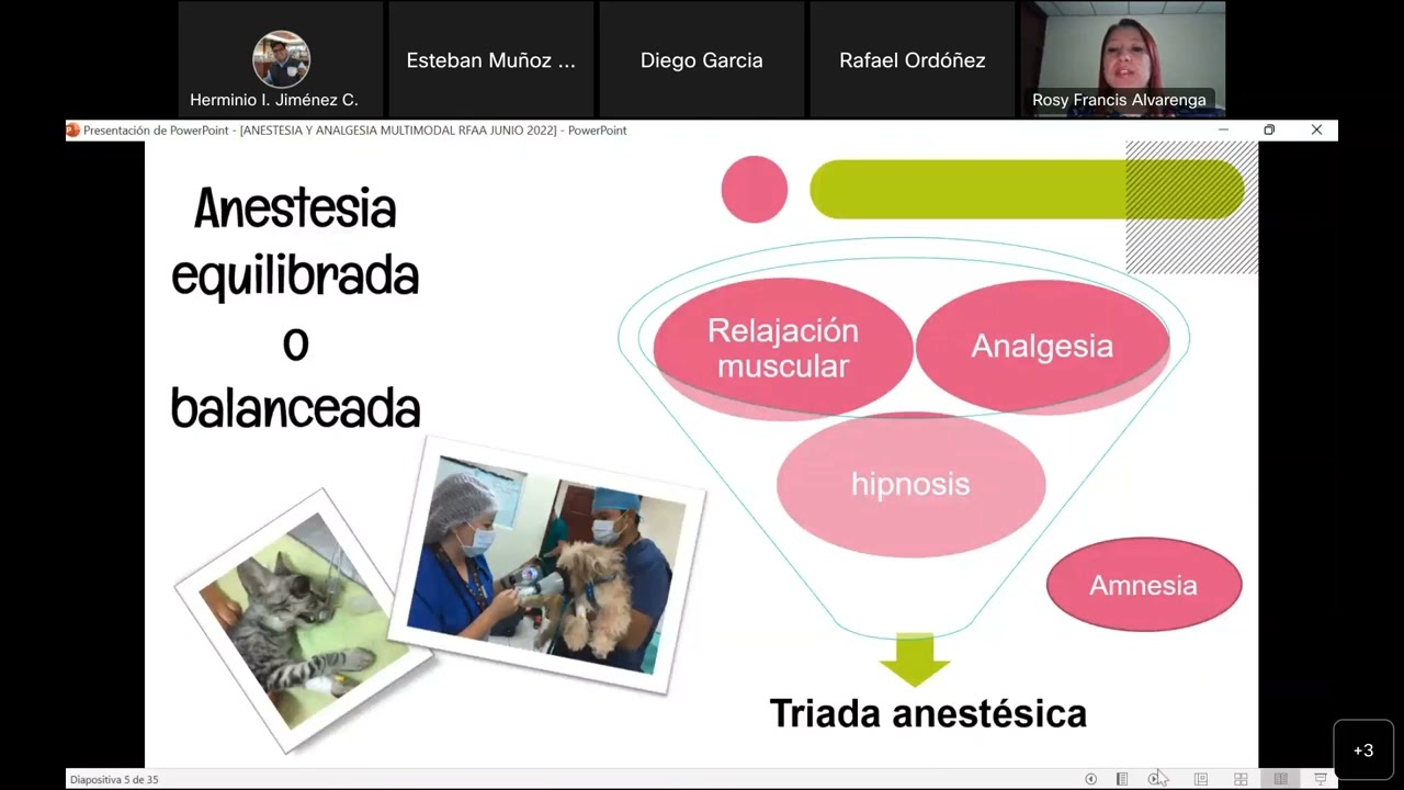 Anestesia y analgesia multimodal en perros y gatos