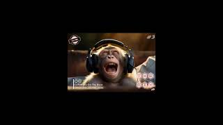 Celton The Mix Skills