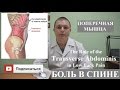 Поперечная мышца. Лечение боли в пояснице. Transverse Abdominis. Back Pain