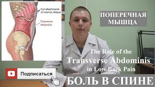 Поперечная мышца. Лечение боли в пояснице. Transverse Abdominis. Back Pain