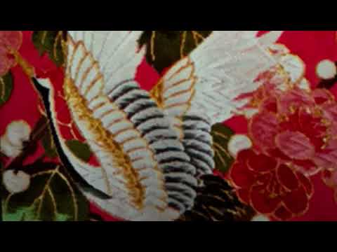 【女性が歌う⠀】夢一夜  /  南こうせつ