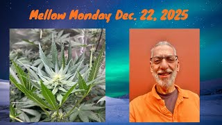 Mellow Monday (We hope!) December 22, 2025