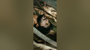 Nee Yeppo Pulla | Kumki | Tamil | Fullscreen Status |Vikram Prabhu | Lakshmi Menon | Fasil Pulikkal✂