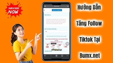 Hướng dẫn tăng follow tiktok tại Bumx.net