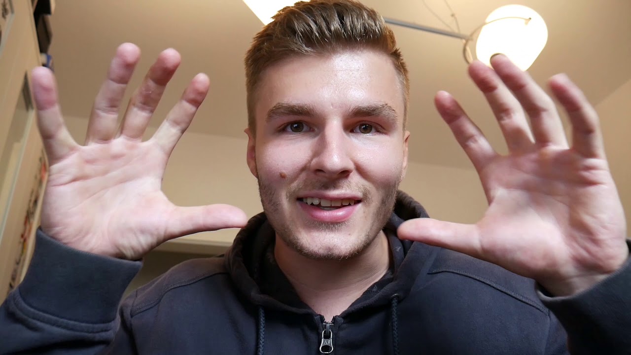 SCHANZENFEST 2018  VLOG