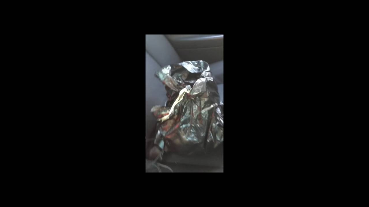 Illinois man dragged out of car for recording - YouTube