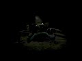 RESIDUUM | Announcement Trailer